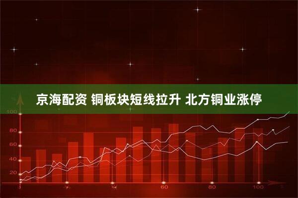 京海配资 铜板块短线拉升 北方铜业涨停