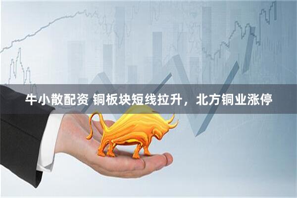 牛小散配资 铜板块短线拉升，北方铜业涨停